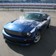 Illustration for article titled 2010 Shelby Mustang GT/SR